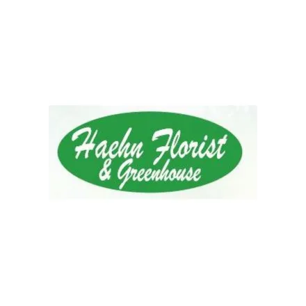 Haehn Florist & Greenhouses LLC logo