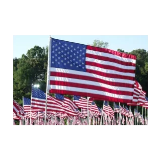 Flags of Freedom Foundation, Inc. logo